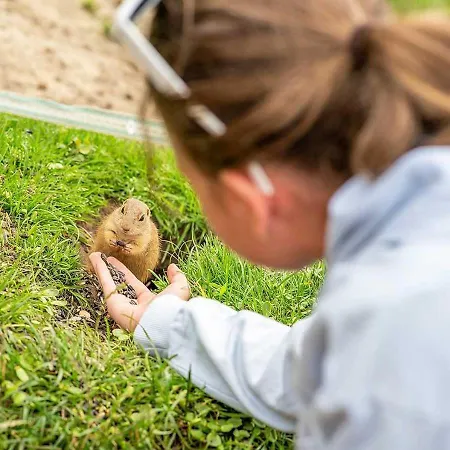 דירה Wellness Chmaroska - Telgárt