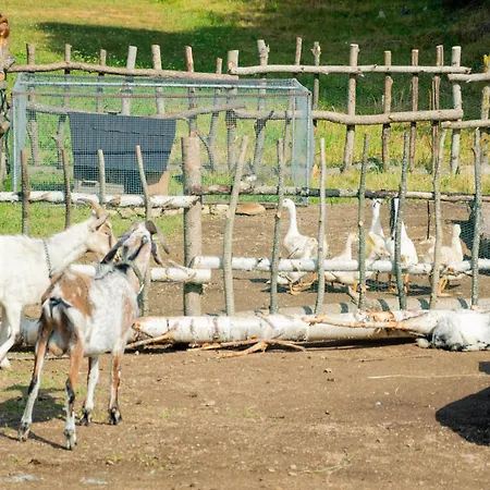 Lejlighed Wellness Chmaroska -